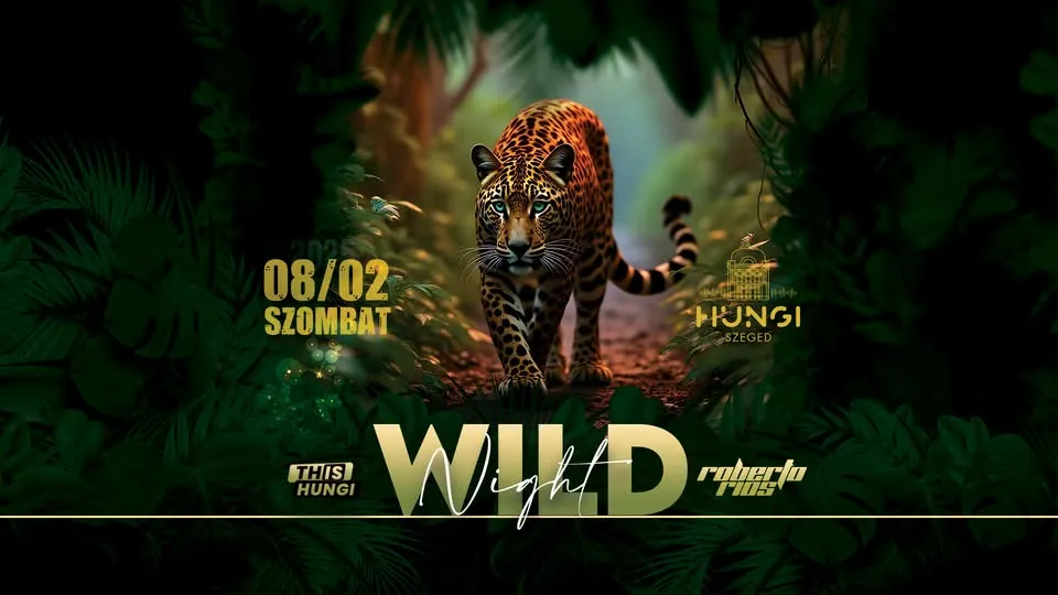 DIVLJA NOĆ -HUNGI - // 2025.08.02.